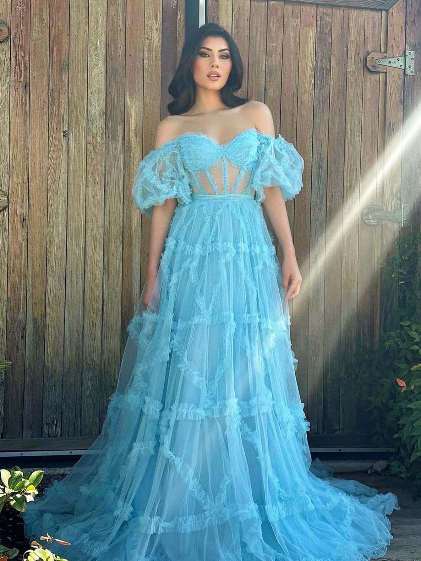 dressimeA Line Off the Shoulder Tulle Prom Dresses 