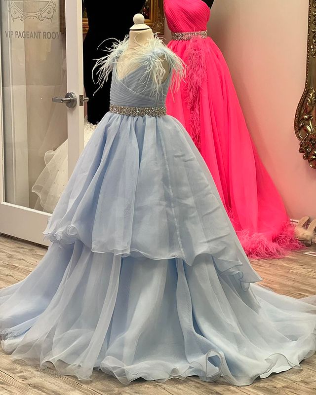 Dressime A Line V Neck Organza Braed Layered Long Girl Pageant Dress With Feather dressime