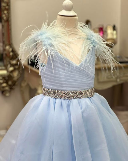 Dressime A Line V Neck Organza Braed Layered Long Girl Pageant Dress With Feather dressime