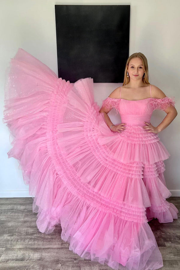 dressimeA Line Off the Shoulder Tulle Long Prom Dress with Feathers 